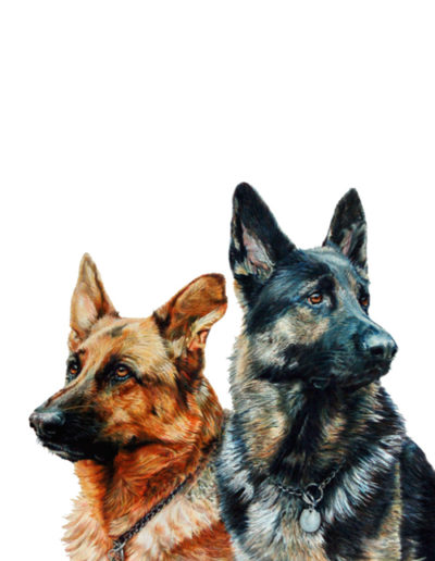 Dog Portrait commission