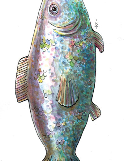 Page illustration, fish