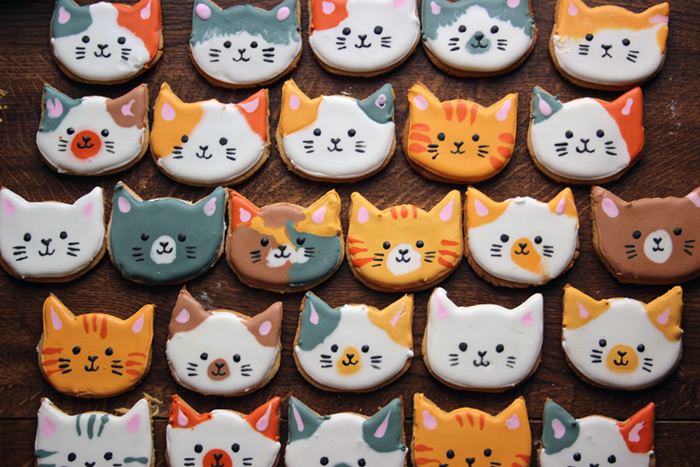 Cat biscuits