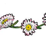 Ann Moss  by Roger Clarke