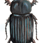 Page illustration, beetle