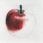 Apple. Demo piece from textures course